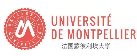 蒙彼利埃:蒙彼利埃大学医疗健康管理博士项目