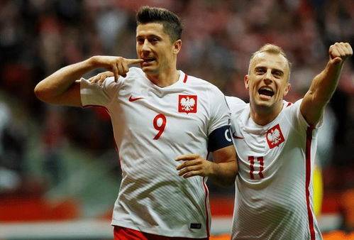 欧洲杯:欧洲杯 波兰 对决 捷克
