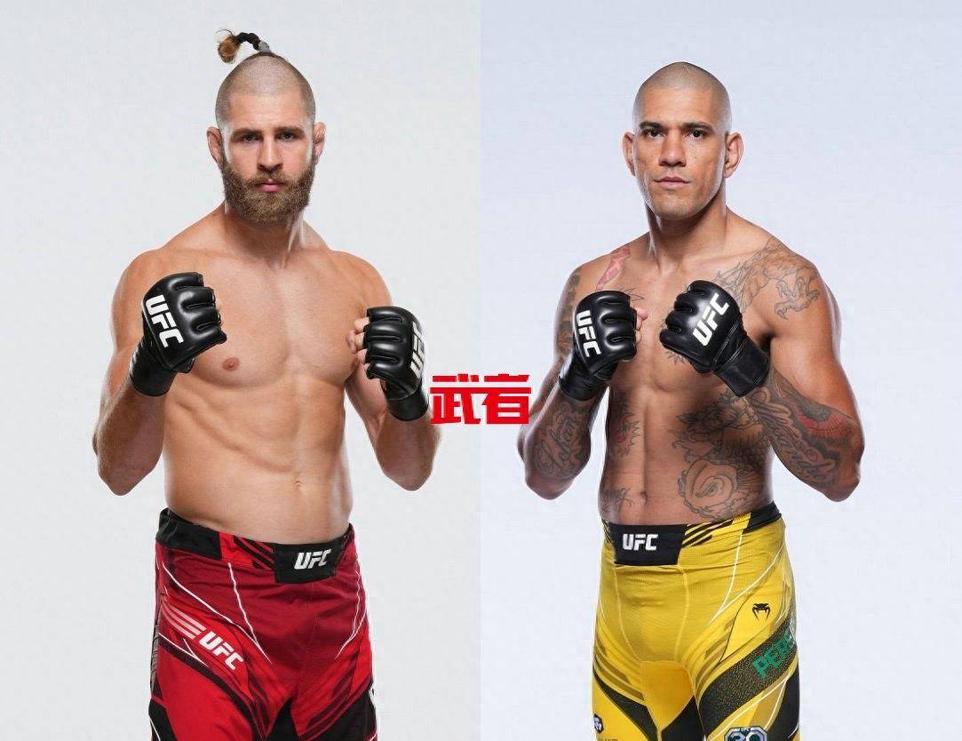 UFC:UFC 295：塔巴莎·里奇对阵鲁皮·戈迪内兹