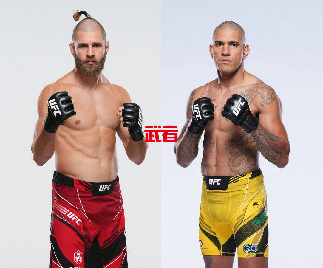 UFC:UFC 295：吉里·普罗查兹卡对阵亚历克斯·佩雷拉